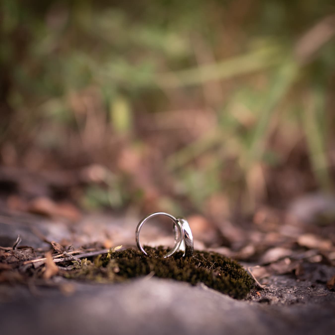 Hochzeiten wedding-ring-moss-detail.jpg