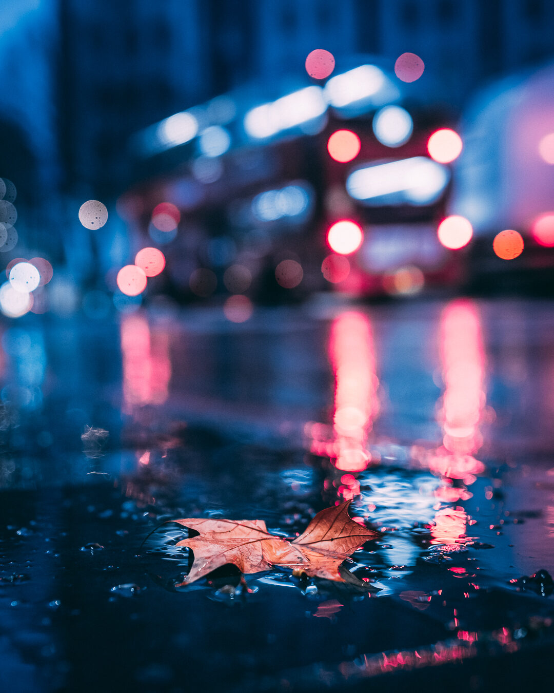 Cityscape rainy-leaf-bokeh.jpg