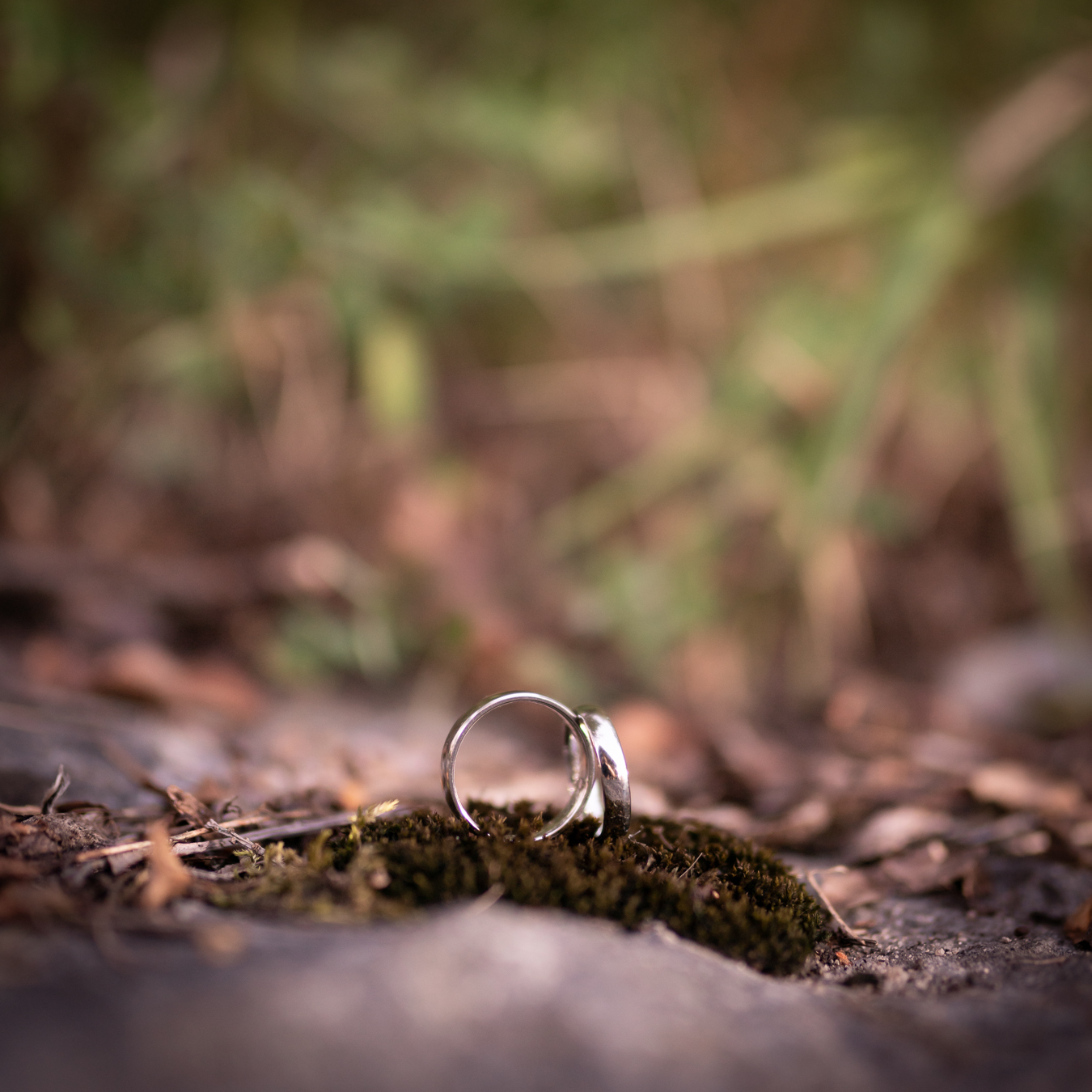 Hochzeiten wedding-ring-moss-detail.jpg